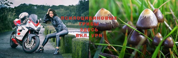 меф Богородицк